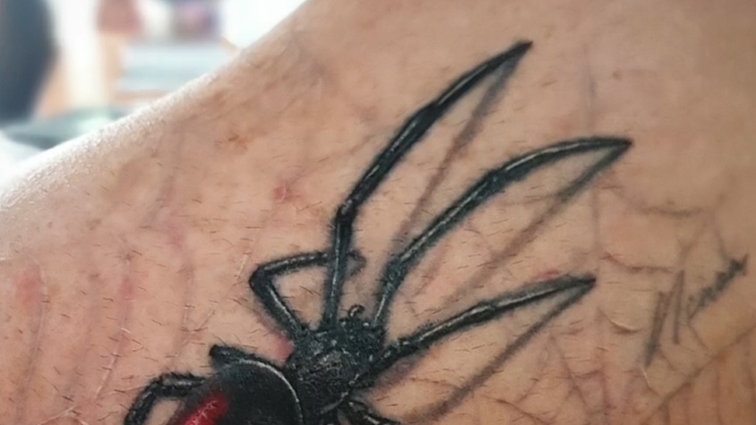 Tatouage réaliste araignée 